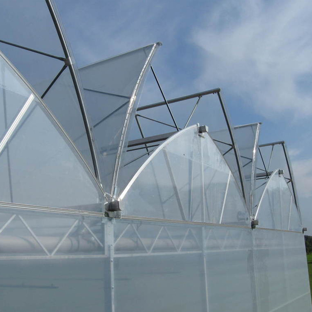 Vermako greenhouse